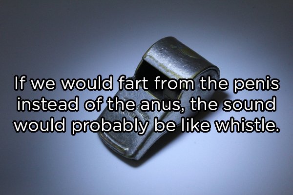 material - If we would fart from the penis instead of the anus, the sound would probably be whistle.