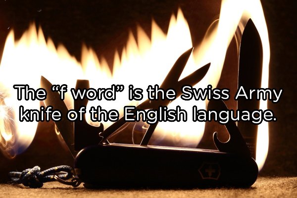 heat - The "f word is the Swiss Army knife of the English language.