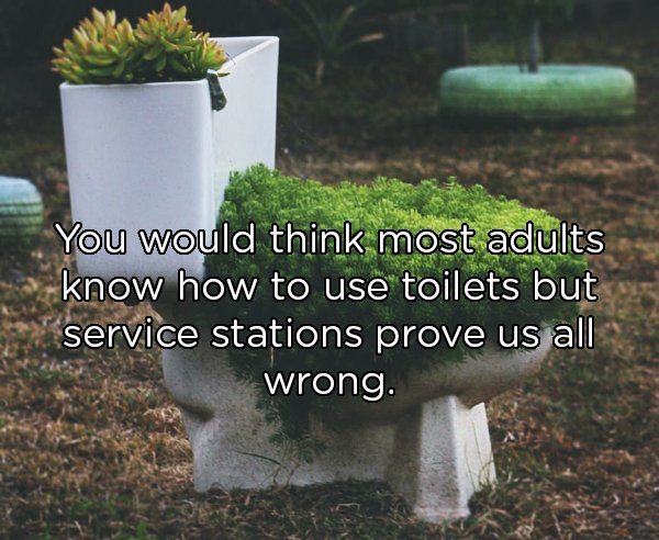 toilet land - You would think most adults know how to use toilets but service stations prove us all wrong.