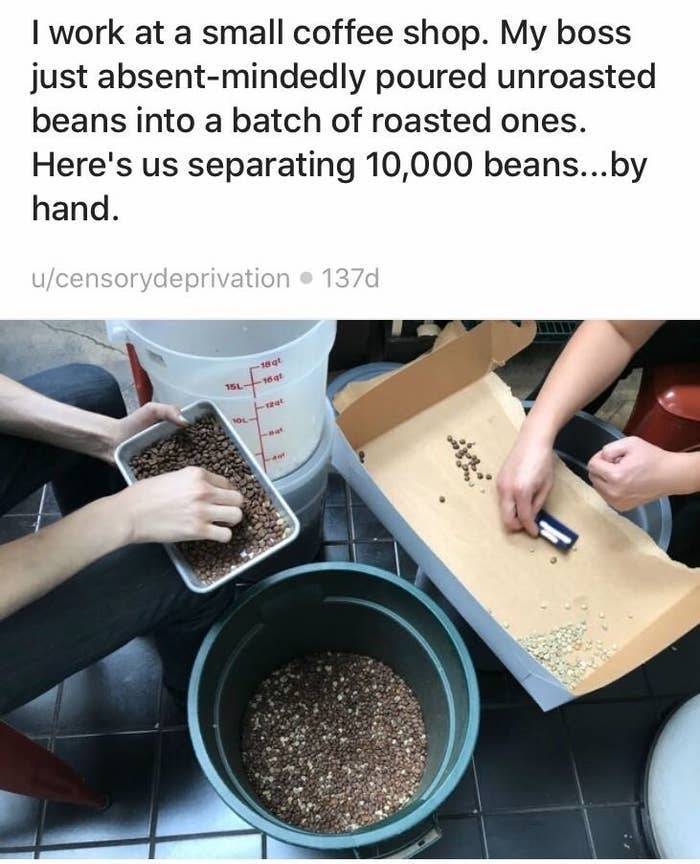 Bean - I work at a small coffee shop. My boss just absentmindedly poured unroasted beans into a batch of roasted ones. Here's us separating 10,000 beans... by hand. ucensorydeprivation 137d 1601