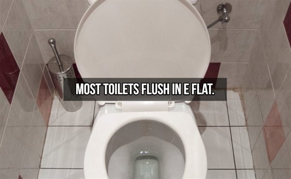 toilet seat - Most Toilets Flush In E Flat.