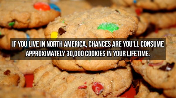 Cookie - If You Live In North America, Chances Are You'Ll Consume Approximately 30,000 Cookies In Your Lifetime.