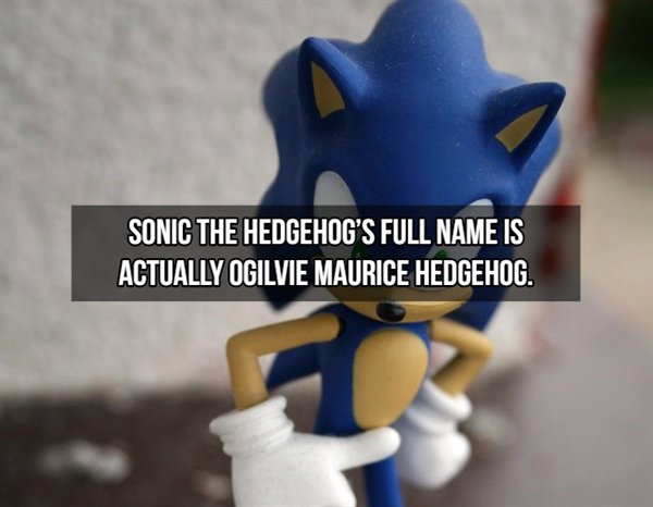 figurine - Sonic The Hedgehog'S Full Name Is Actually Ogilvie Maurice Hedgehog.