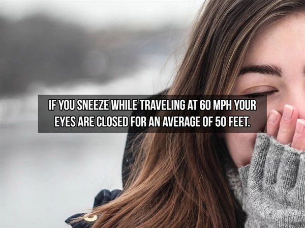 girl sweater hd - If You Sneeze While Traveling At 60 Mph Your Eyes Are Closed For An Average Of 50 Feet.