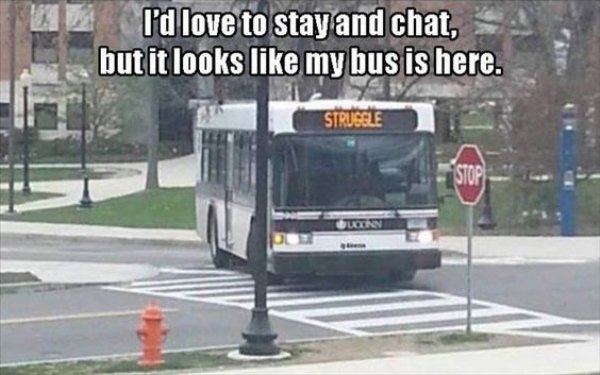 struggle bus - I'd love to stay and chat, but it looks my bus is here. Struggle Quinn