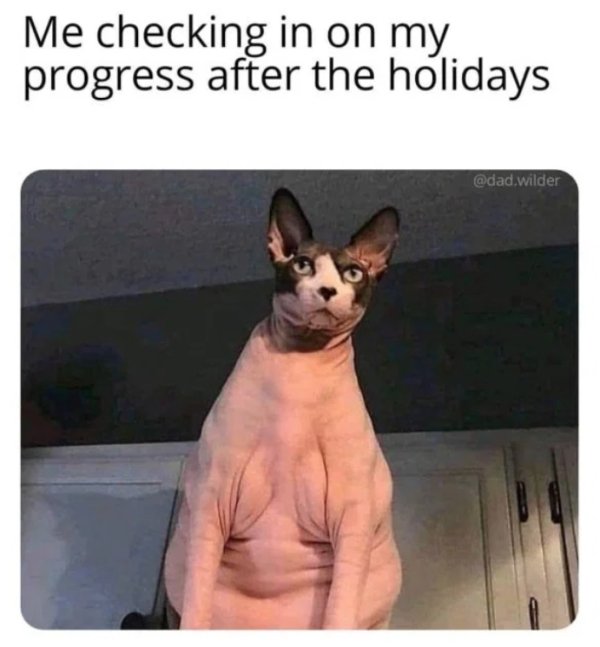 you get out of the shower meme - Me checking in on my progress after the holidays .wilder