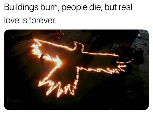 crow gif - Buildings burn, people die, but real love is forever. > Yes