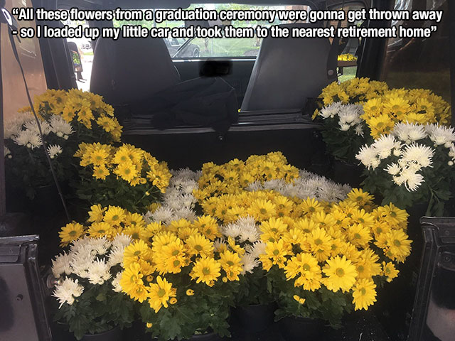 flowers for graduation ceremony - "All these flowers from a graduation ceremony were gonna get thrown away so I loaded up my little car and took them to the nearest retirement home"