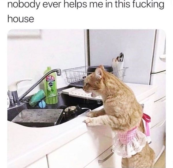 nobody helps me in this house meme - nobody ever helps me in this fucking house