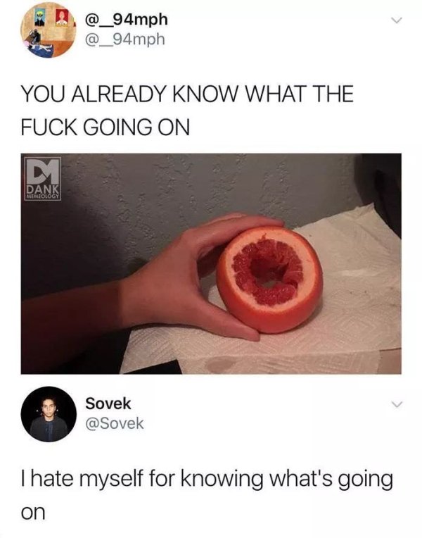 grapefruit meme - You Already Know What The Fuck Going On Dank Sovek Thate myself for knowing what's going on