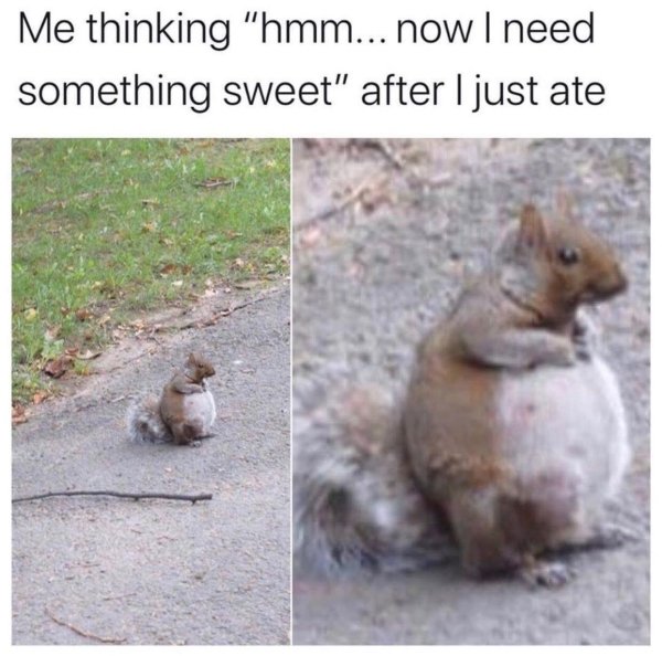 now i need something sweet meme - Me thinking "hmm... now I need something sweet" after I just ate