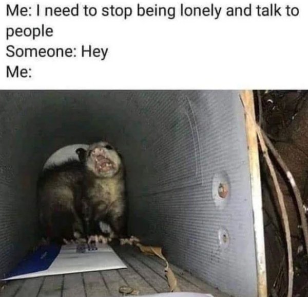 pringles possum meme - Me I need to stop being lonely and talk to people Someone Hey Me