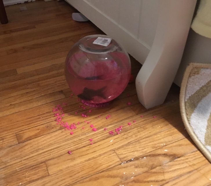 23 Coincidences That Surprised People.