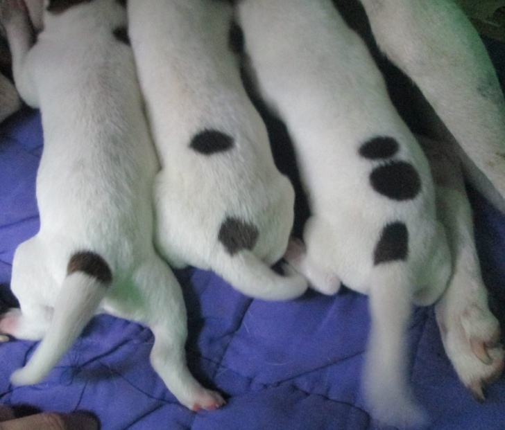 23 Coincidences That Surprised People.