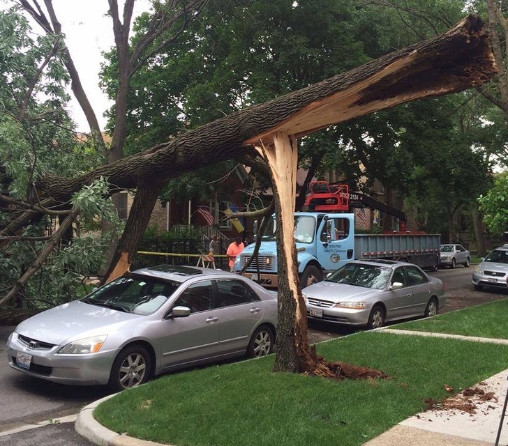 23 Coincidences That Surprised People.