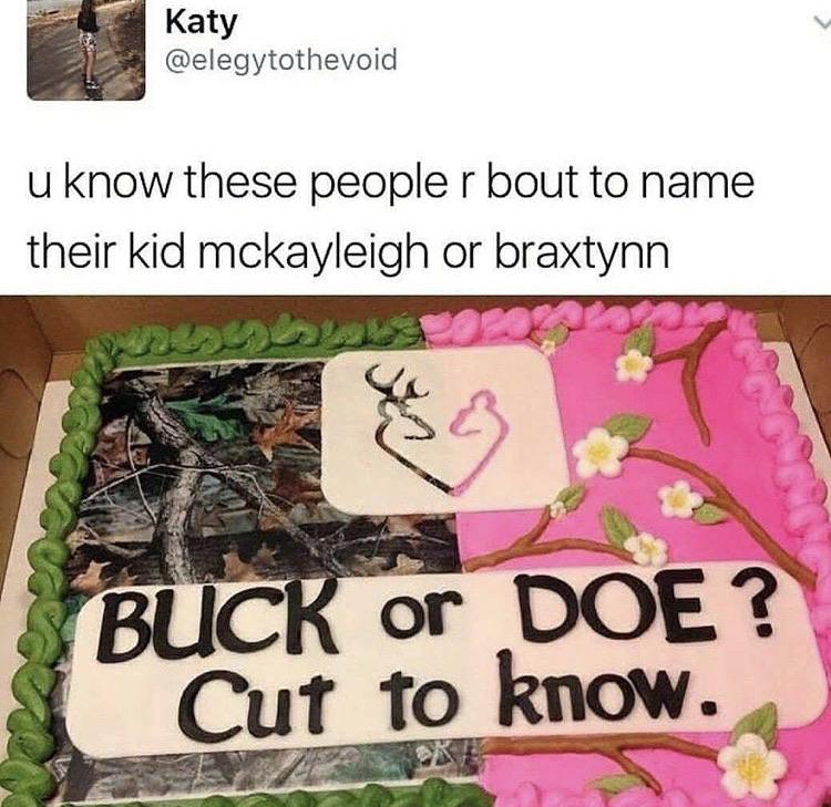 buck or doe gender reveal cake meme - Katy u know these people r bout to name their kid mckayleigh or braxtynn Buck or Doe? Cut to know.