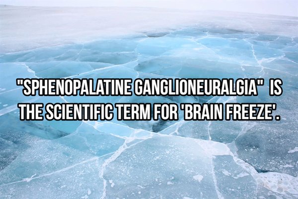 arctic ocean - "Sphenopalatine Ganglioneuralgia" Is The Scientific Term For 'Brain Freeze.