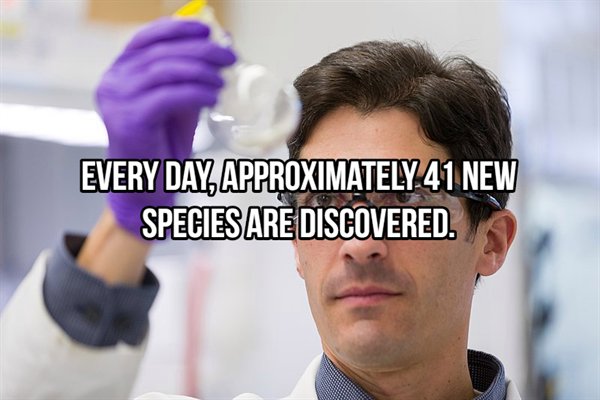 chemistry lab portrait - Every Day, Approximately 41 New Species Are Discovered.