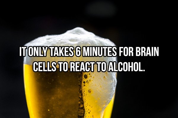 alcohol - It Only Takes 6 Minutes For Brain Cells To React To Alcohol.