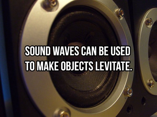 ozanam campus - Sound Waves Can Be Used To Make Objects Levitate.