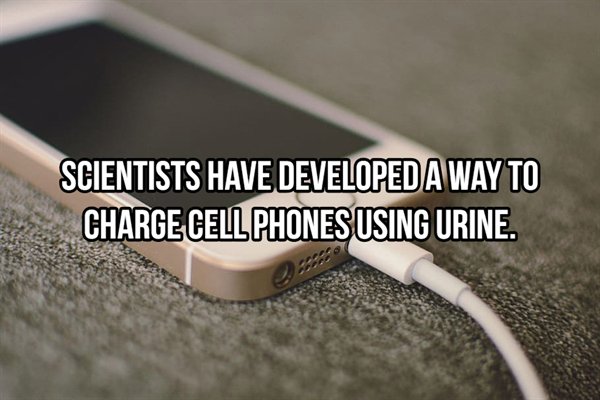 501 mackenzistas - Scientists Have Developed A Way To Charge Cell Phones Using Urine.