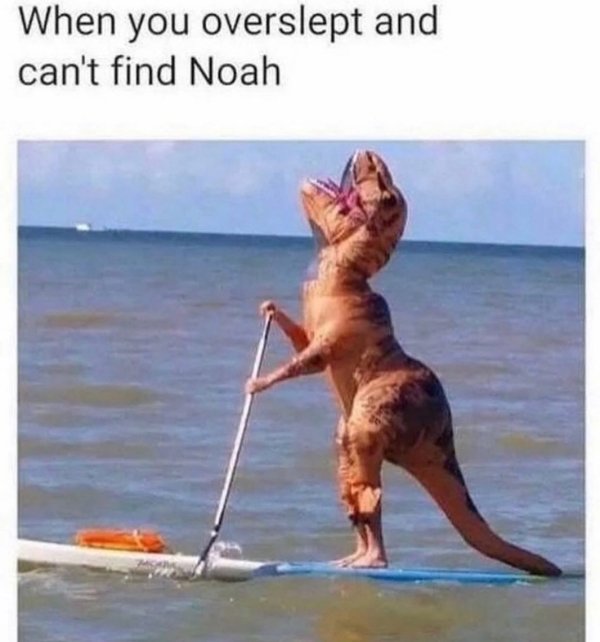 you overslept and can t find noah - When you overslept and can't find Noah
