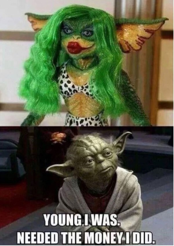 funny yoda memes - Young I Was Needed The Money I Did.