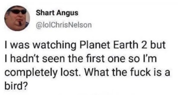 trump attacking obama - Shart Angus Nelson I was watching Planet Earth 2 but Thadn't seen the first one so I'm completely lost. What the fuck is a bird?