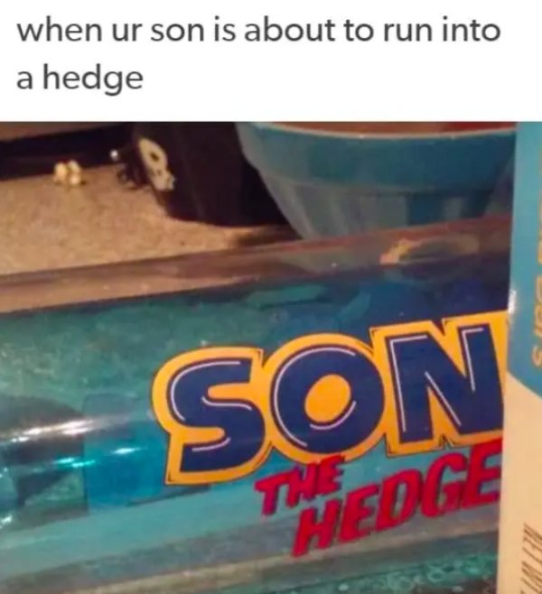 water - when ur son is about to run into a hedge Son Wedge