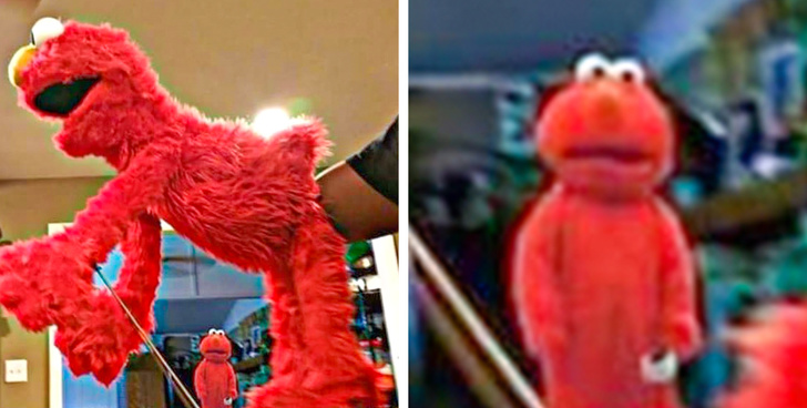 sesame street elmo memes