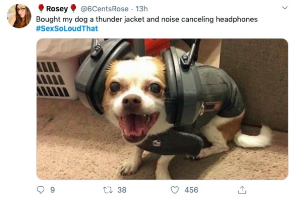 dog headphones fireworks - Rosey! 13h Bought my dog a thunder jacket and noise canceling headphones Mw 0912 38 4561