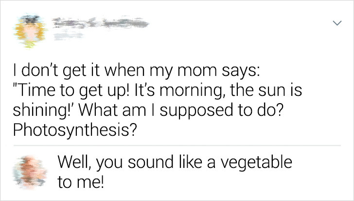 document - I don't get it when my mom says "Time to get up! It's morning, the sun is shining! What am I supposed to do? Photosynthesis? Well, you sound a vegetable to me!
