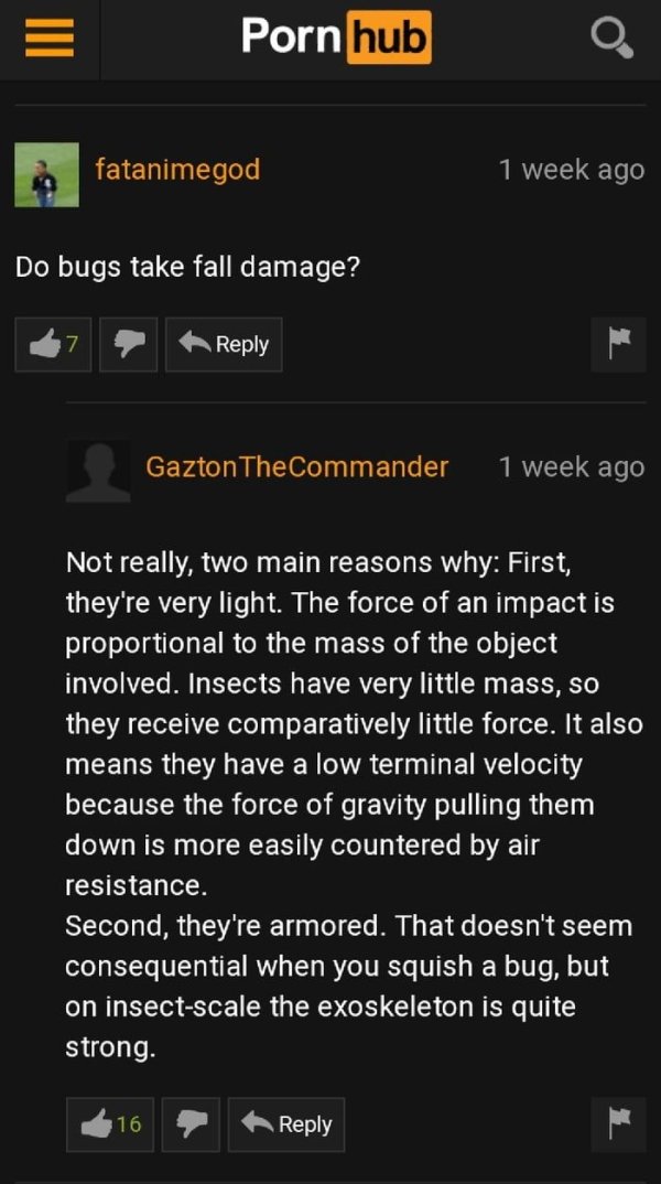 screenshot - Porn hub fatanimegod 1 week ago Do bugs take fall damage? Gazton TheCommander 1 week ago Not really, two main reasons why First, they're very light. The force of an impact is proportional to the mass of the object involved. Insects have very 