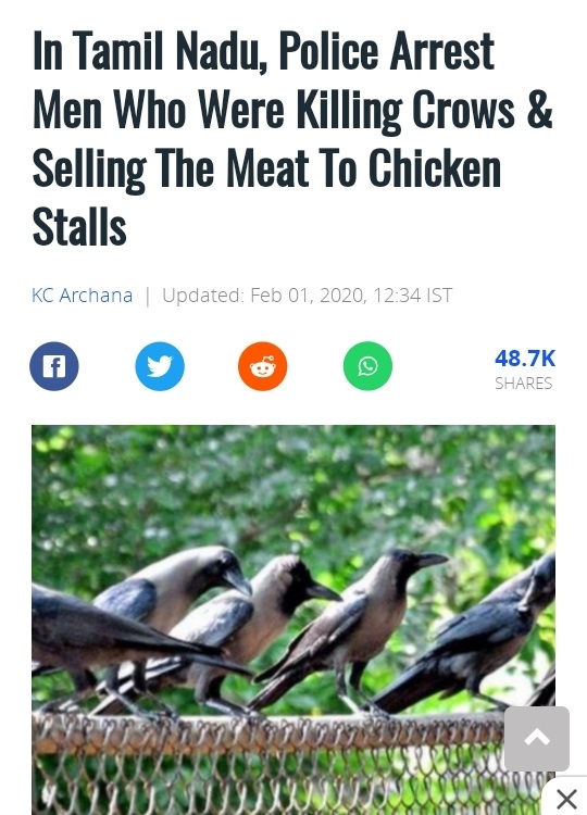 In Tamil Nadu, Police Arrest Men Who Were Killing Crows & Selling The Meat To Chicken Stalls Kc Archana Updated , Ist ..