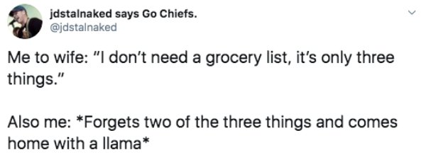 Sarcasm - jdstalnaked says Go Chiefs. Me to wife "I don't need a grocery list, it's only three things." Also me Forgets two of the three things and comes home with a llama