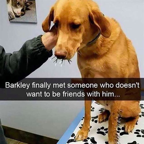 saddest thing - Barkley finally met someone who doesn't want to be friends with him...