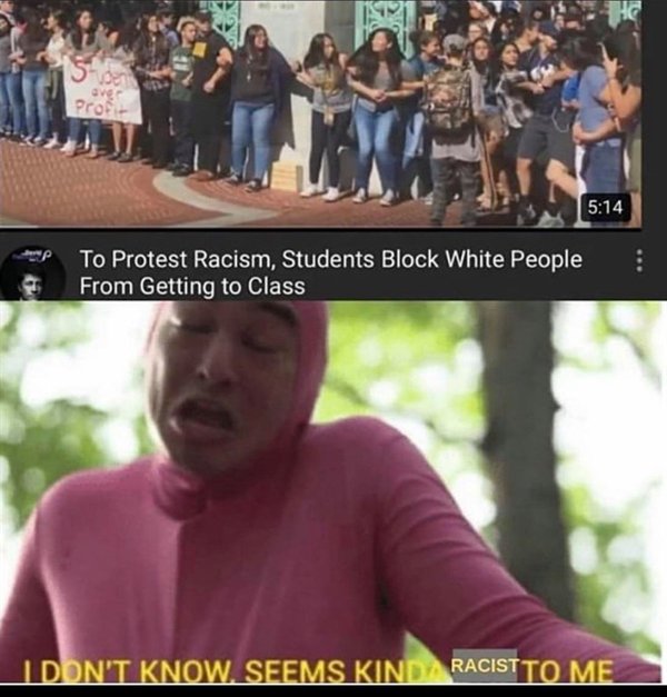 jordan peterson memes - hep To Protest Racism, Students Block White People From Getting to Class I Don'T Know. Seems Kind Racist To Me