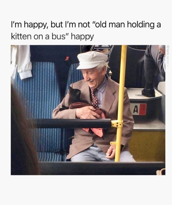 happy old man with a kitten - I'm happy, but I'm not "old man holding a kitten on a bus" happy sinal A