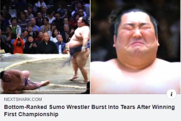 Internet meme - Nextshark.Com BottomRanked Sumo Wrestler Burst Into Tears After winning First Championship