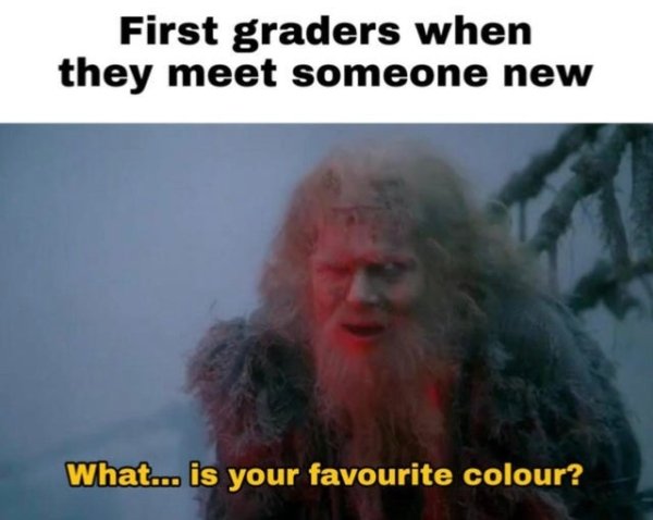 monty python dank meme - First graders when they meet someone new What... is your favourite colour?