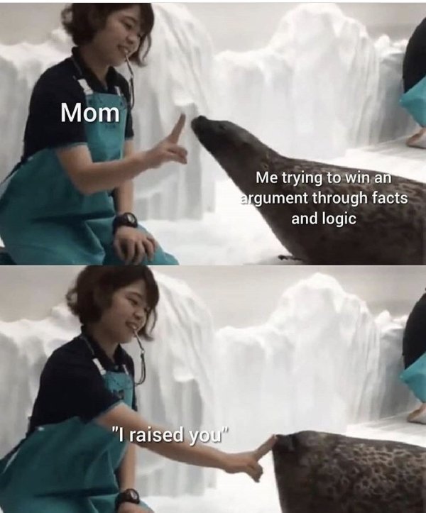 mom argument meme - Mom Me trying to win an argument through facts and logic "I raised you"