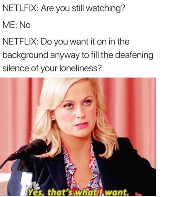 feel personally attacked - Netlfix Are you still watching? Me No Netflix Do you want it on in the background anyway to fill the deafening silence of your loneliness? Yes, that's what I want.