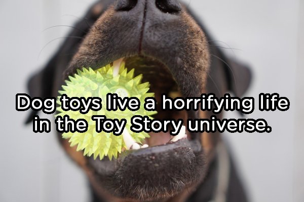 Dog toys live a horrifying life in the Toy Story universe.