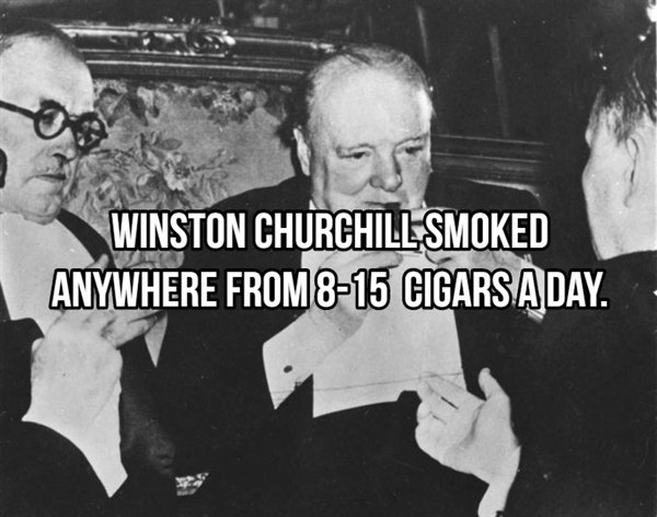 winston churchill pope - Winston Churchill Smoked Anywhere From 815 Cigarsaday.