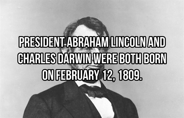 monochrome photography - PresidentAbraham Lincoln And Charles Darwin Were Both Born On .