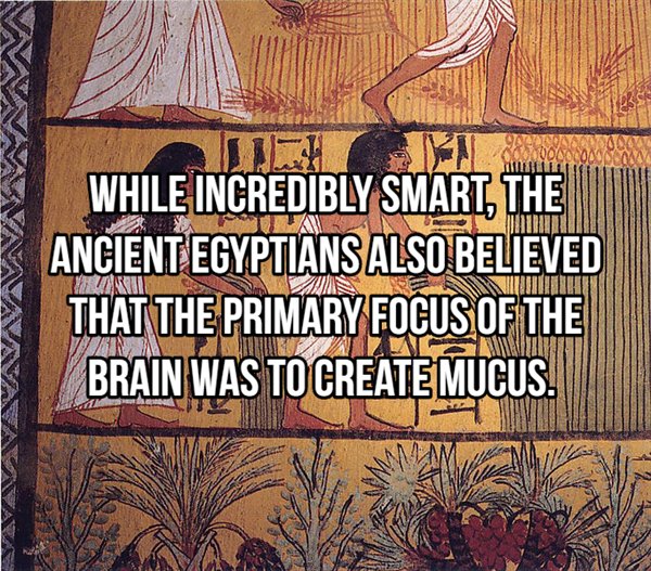 linen ancient egypt - While Incredibly Smart, The Ancient Egyptians Also Believed That The Primary Focus Of The Brain Was To Create Mucus. Nie Tuztizat