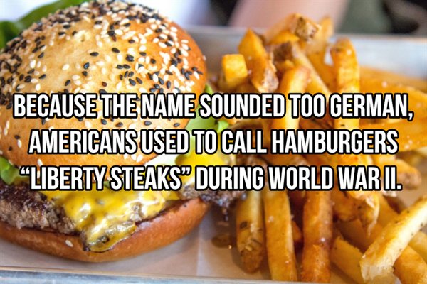 at did americans call hamburgers during word war i?