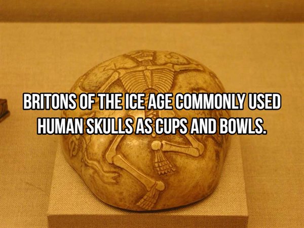 scythian skull cup - Britons Of The Ice Age Commonly Used Human Skulls As Cups And Bowls.