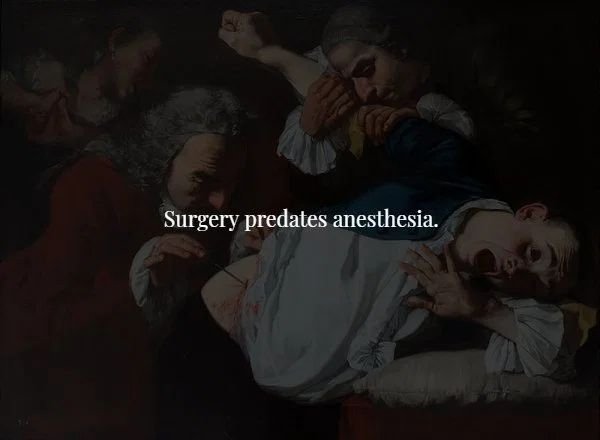 human - Surgery predates anesthesia.