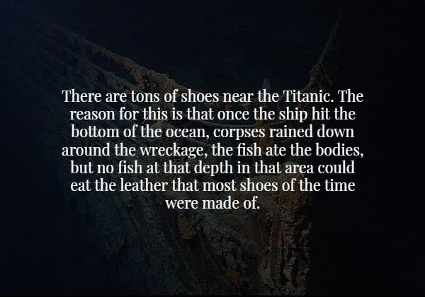 justin gayber - There are tons of shoes near the Titanic. The reason for this is that once the ship hit the bottom of the ocean, corpses rained down around the wreckage, the fish ate the bodies, but no fish at that depth in that area could eat the leather
